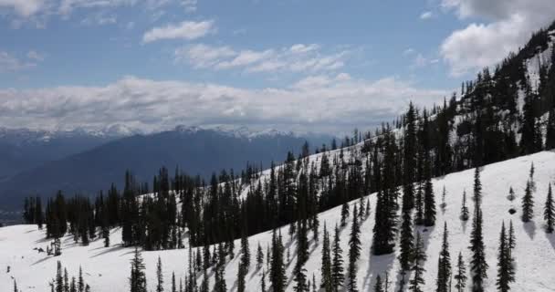 Summer Landscape Golden Gondola British Columbia Canada — Vídeos de Stock