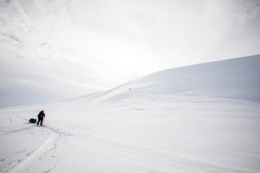 Norveç 'in güneyindeki Dovrefjell Ulusal Parkı' nda kayak gezisi..