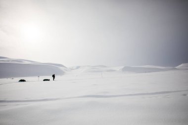 Norveç 'in güneyindeki Dovrefjell Ulusal Parkı' nda kayak gezisi..