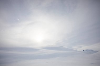 Winter landscape in Dovrefjell National Park, south Norway.