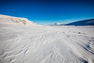 Norveç 'in güneyindeki Dovrefjell Ulusal Parkı' nda kış manzarası.