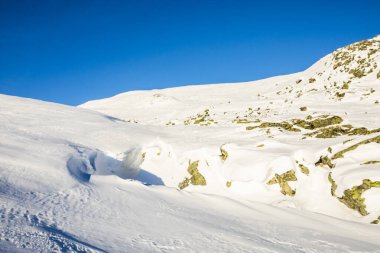 Winter landscape in Dovrefjell National Park, south Norway.