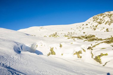 Winter landscape in Dovrefjell National Park, south Norway.