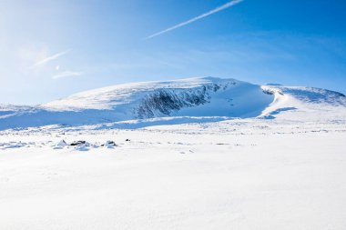 Norveç 'in güneyindeki Dovrefjell Ulusal Parkı' nda kış manzarası.