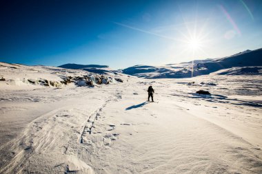 Norveç 'in güneyindeki Dovrefjell Ulusal Parkı' nda kayak gezisi..