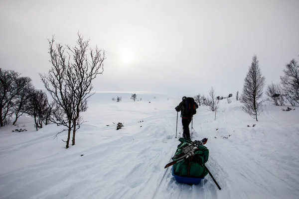 Expedição Esqui Parque Nacional Dovrefjell Sul Noruega — Fotografia de Stock