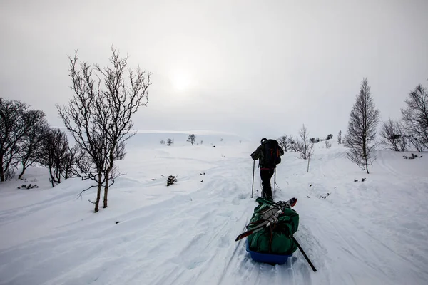 Ski Expedition Dovrefjell National Park South Norway — 스톡 사진