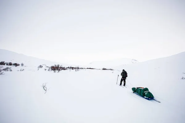 Wyprawa Narciarska Parku Narodowym Dovrefjell Południowa Norwegia — Zdjęcie stockowe