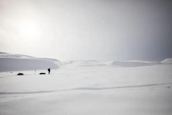 Expedición Esquí Parque Nacional Dovrefjell Sur Noruega — Foto de Stock