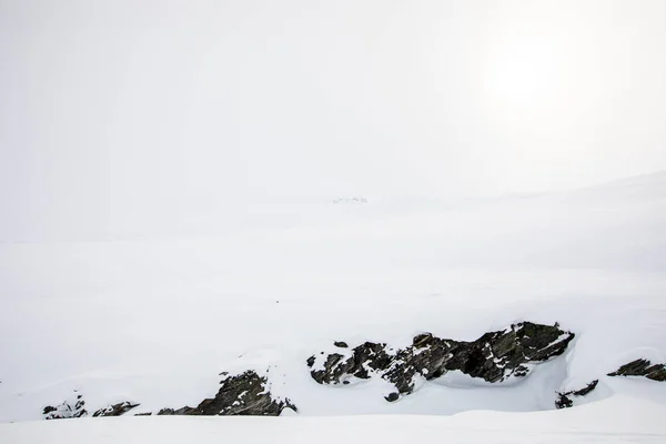 Paisagem Inverno Dovrefjell National Park Sul Noruega — Fotografia de Stock