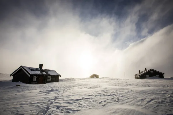Сильный Зимний Ветер Хижине Рейнхайма Национальный Парк Доврефьель Южная Норвегия — стоковое фото