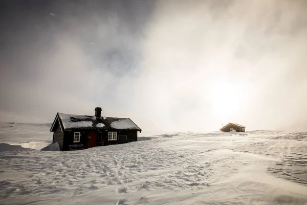 Extreme Winter Wind Reinheim Cabin Dovrefjell National Park South Norway — Stockfoto