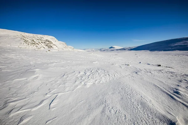 Winter Landscape Dovrefjell National Park South Norway — Foto de Stock