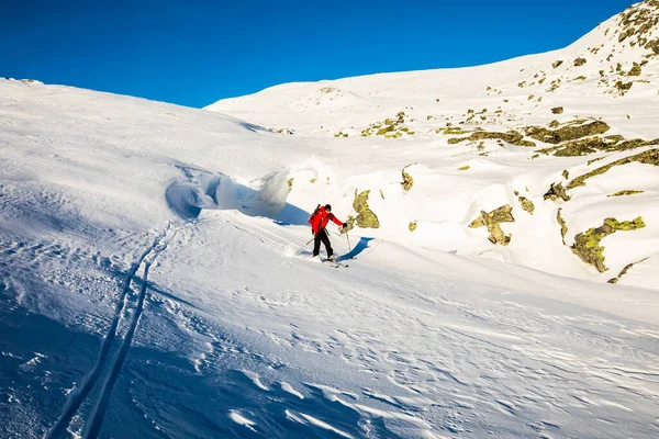 Ski Expedition Dovrefjell National Park South Norway — 스톡 사진