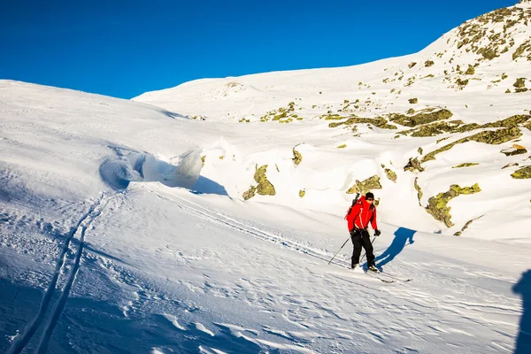 Expedición Esquí Parque Nacional Dovrefjell Sur Noruega —  Fotos de Stock