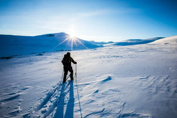Ski Expedition Dovrefjell National Park South Norway — Foto de Stock