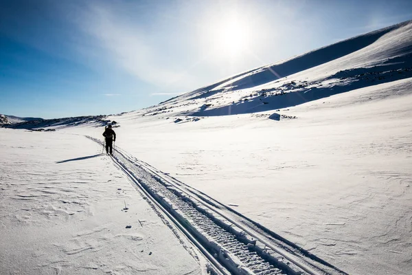 Ski Expedition Dovrefjell National Park South Norway — Fotografia de Stock