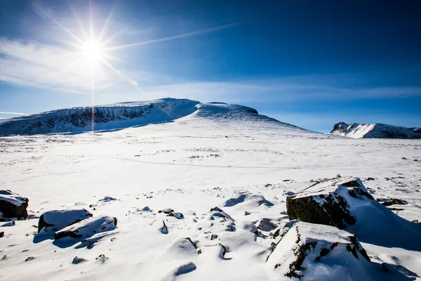 Winter Landscape Dovrefjell National Park South Norway — 图库照片