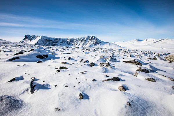 Krajobraz Zimowy Parku Narodowym Dovrefjell Południowa Norwegia — Zdjęcie stockowe