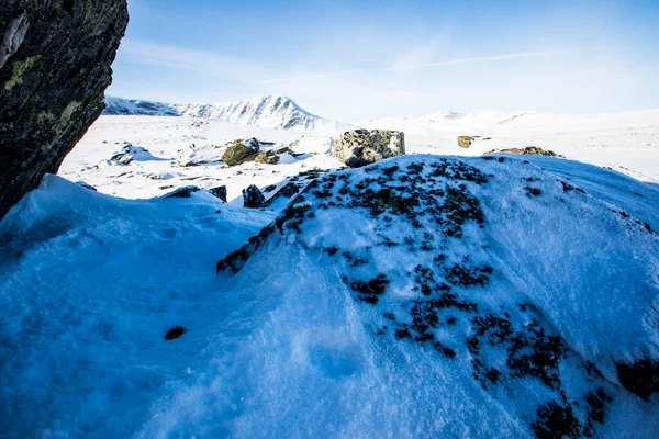 Winter Landscape Dovrefjell National Park South Norway — Foto de Stock