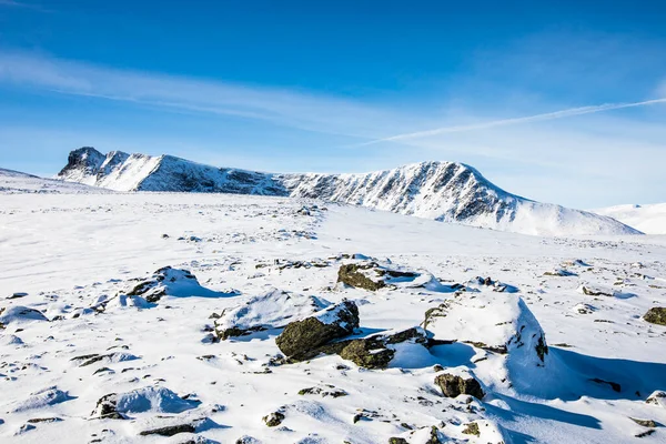 Winter Landscape Dovrefjell National Park South Norway — Zdjęcie stockowe