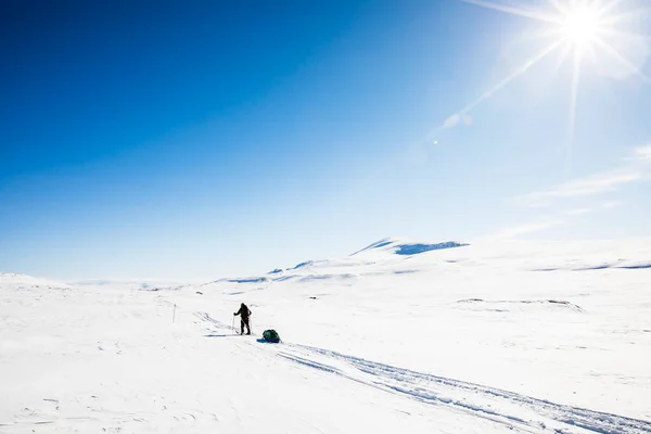 Expedição Esqui Parque Nacional Dovrefjell Sul Noruega — Fotografia de Stock