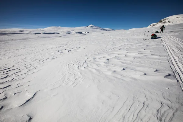 Expedição Esqui Parque Nacional Dovrefjell Sul Noruega — Fotografia de Stock