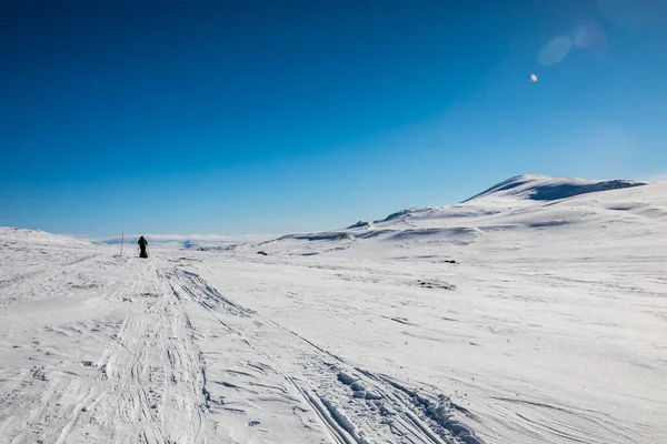 Ski Expedition Dovrefjell National Park South Norway — Fotografia de Stock
