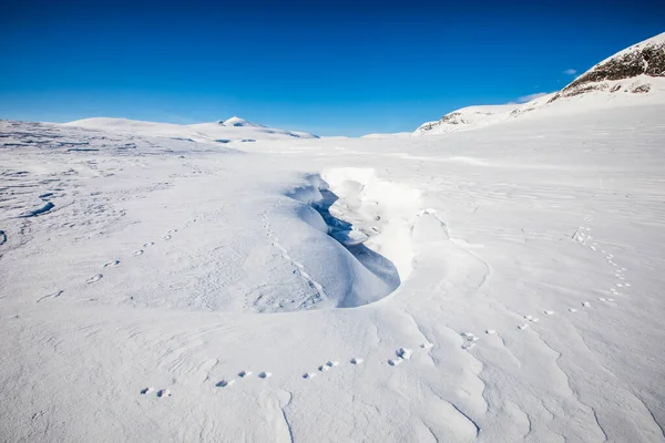 Χειμερινό Τοπίο Στο Εθνικό Πάρκο Dovrefjell Νότια Νορβηγία — Φωτογραφία Αρχείου