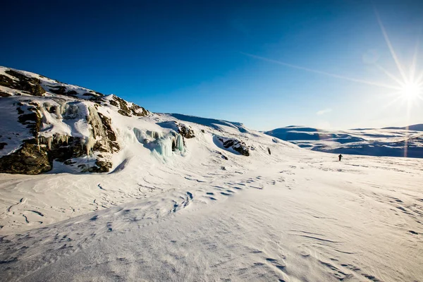 Spedizione Sci Nel Parco Nazionale Dovrefjell Norvegia Meridionale — Foto Stock