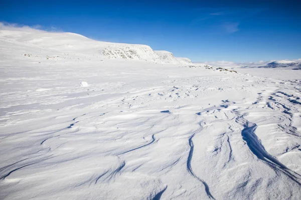Winterlandschap Nationaal Park Dovrefjell Zuid Noorwegen — Stockfoto