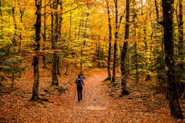 Sonbaharda Ordesa ve Monte Perdido Ulusal Parkı 'nda genç bir kadın.
