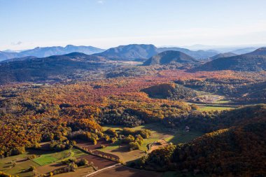 La Fageda D En Jorda Ormanı 'nda sonbahar, La Garrotxa, Kuzey İspanya.