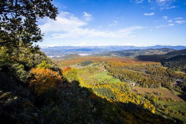 La Fageda D En Jorda Ormanı 'nda sonbahar, La Garrotxa, Kuzey İspanya.