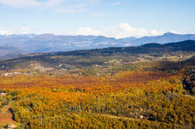 La Fageda D En Jorda Ormanı 'nda sonbahar, La Garrotxa, Kuzey İspanya.
