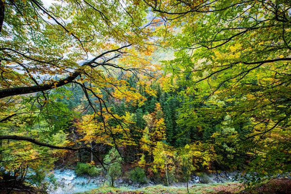 Herfst Ordesa Monte Perdido National Park Spanje — Stockfoto