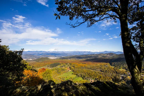 Otoño Bosque Fageda Jorda Garrotxa Norte España — Foto de Stock