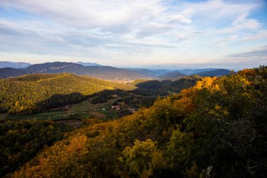 La Fageda D En Jorda Ormanı 'nda sonbahar, La Garrotxa, Kuzey İspanya.