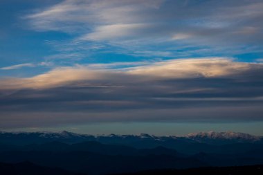 La Fageda D En Jorda Ormanı 'nda sonbahar, La Garrotxa, Kuzey İspanya.