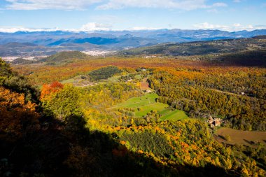 La Fageda D En Jorda Ormanı 'nda sonbahar, La Garrotxa, Kuzey İspanya.