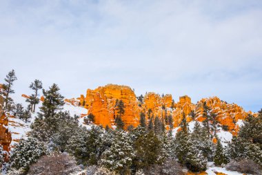 Kış manzarası Bryce Canyon Ulusal Parkı, Amerika Birleşik Devletleri
