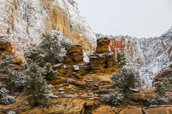 Paisagem Inverno Zion National Park Estados Unidos América — Fotografia de Stock