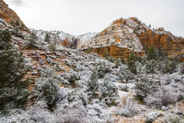 Paisagem Inverno Zion National Park Estados Unidos América — Fotografia de Stock