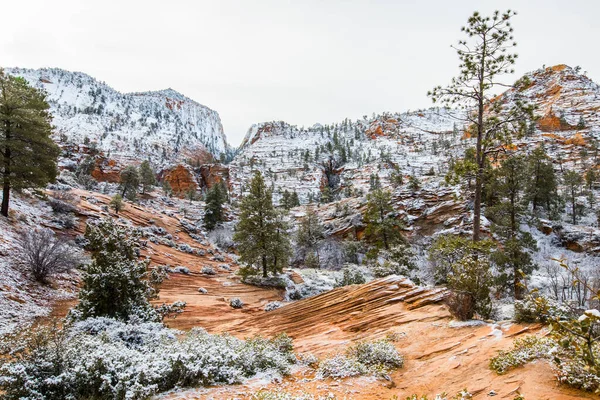 Krajobraz Zimowy Parku Narodowym Zion Stany Zjednoczone Ameryki — Zdjęcie stockowe