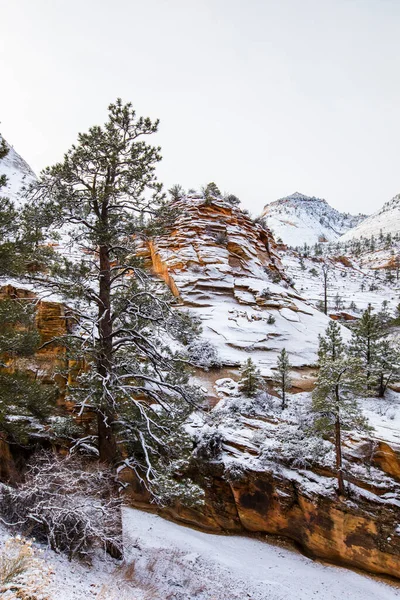 アメリカ シオン国立公園の冬の風景 — ストック写真