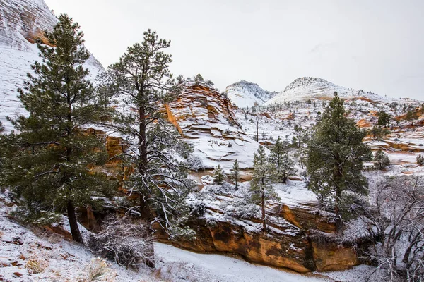 Paisagem Inverno Zion National Park Estados Unidos América — Fotografia de Stock