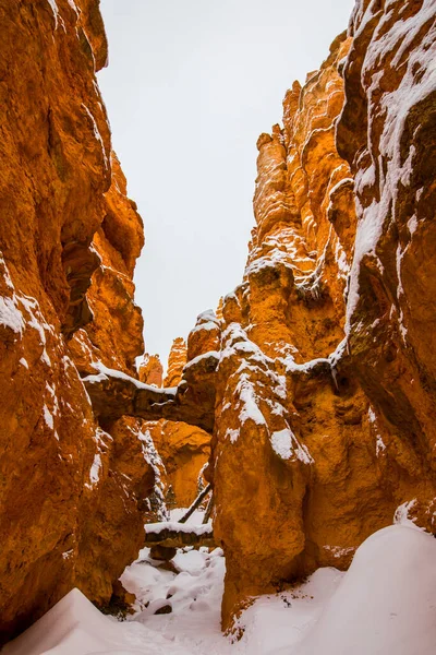 Зимовий Пейзаж Національному Парку Брайс Каньйон Сша — стокове фото
