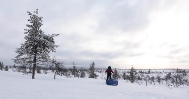 Pallas Yllastunturi Milli Parkı Laponya Finlandiya Kayak Gezisi — Stok video