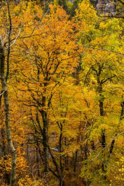 Sonbahar Ordesa ve Monte Perdido Ulusal Parkı, İspanya