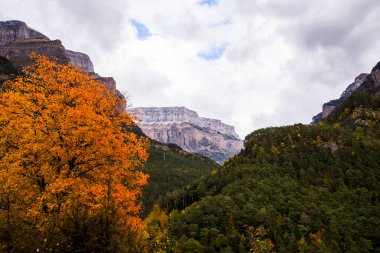 Sonbahar Ordesa ve Monte Perdido Ulusal Parkı, İspanya